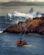St. John's, Fort Amherst iceberg